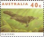 Duck-billed Platypus (Ornithorhynchus anatinus)