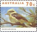 Laughing Kookaburra (Dacelo novaeguineae)