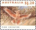 Pink Cockatoo (Lophochroa leadbeateri)