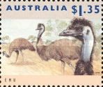 Emu (Dromaius novaehollandiae)
