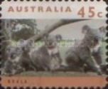 Koala (Phascolarctos cinereus)