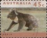 Koala (Phascolarctos cinereus)