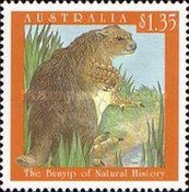 The Bunyip as Natural History