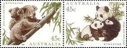 Giant Panda (Ailuropoda melanoleuca) and Cubs