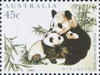 Giant Panda (Ailuropoda melanoleuca) and Cubs