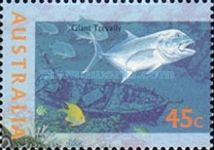 Giant Trevally (Caranx ignobilis)