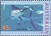 Black Marlin (Istiompax indica)