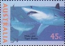 Shortfin Mako (Isurus oxyrhynchus), Tiger Shark (Galeocerdo 