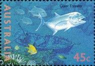 Giant Trevally (Caranx ignobilis)