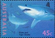 Shortfin Mako (Isurus oxyrhynchus), Tiger Shark (Galeocerdo