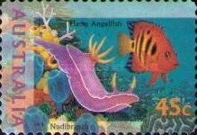 Nudibranch and Flame Angelfish (Centropyge loriculus)