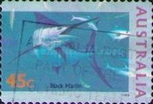 Black Marlin (Istiompax indica)