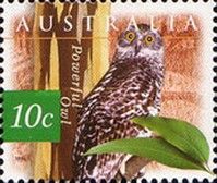 Powerful Owl (Ninox strenua) Phosphor Paper