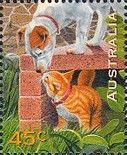 Dog & Cat