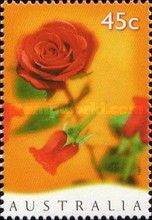 Red Roses