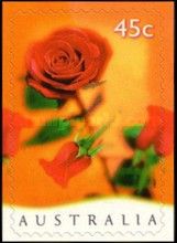 Red Roses