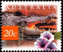 Saltwater Crocodile (Crocodylus porosus), Water Spinach