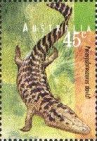 Paracyclotosaurus davidi