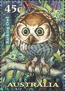 Barking Owl (Ninox connivens)