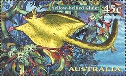 Yellow-bellied Glider (Petaurus australis)
