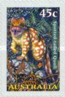Spotted-tailed Quoll (Dasyurus maculatus)