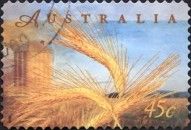 Barley