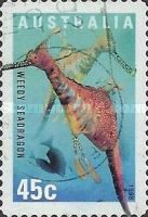 Weedy Seadragon (Phyllopteryx taeniolatus)