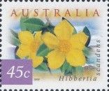 Guinea Flower (Hibbertia scandens)