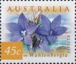 Australian Bluebells (Wahlenbergia stricta)