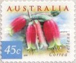Native Fuschia (Correa reflexa)