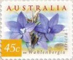 Australian Bluebells (Wahlenbergia stricta)
