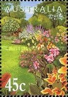 Border of Cannas