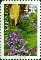 Coast Banksia, False Sarsaparilla and Swamp Bloodwood
