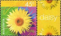 Daisy