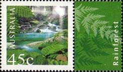 Rainforest