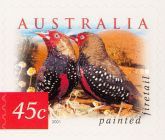 Painted Firetail (Emblema picta)