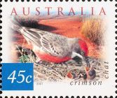 Crimson Chat (Epthianura tricolor)