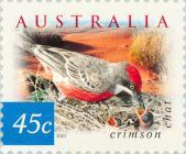 Crimson Chat (Epthianura tricolor)