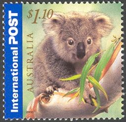 Koala (Phascolarctos cinereus)