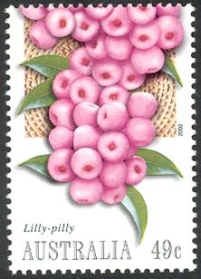 Lilly-pilly