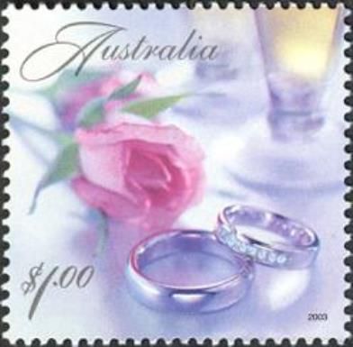 Rings & Pink Rose