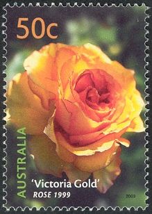 “Victoria Gold” Rose 1999