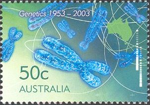 Kangaroo Chromosomes