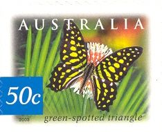 Green-spotted Triangle (Graphium agamemnon ligatum)