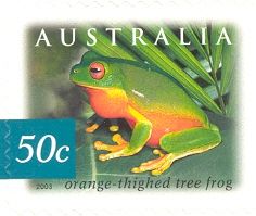 Orange-thighed Tree Frog (Litoria xanthomera)