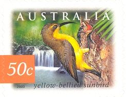 Yellow-bellied Sunbird (Cinnyris jugularis)