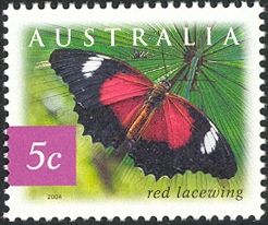 Red Lacewing (Cethosia cydippe chrisippe)