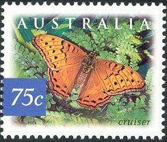 Cruiser (Vindula arsinoe)
