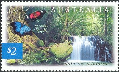 Daintree Rainforest