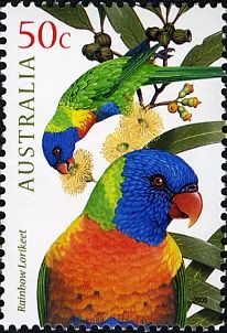 Rainbow Lorikeet (Trichoglossus molluccanus)